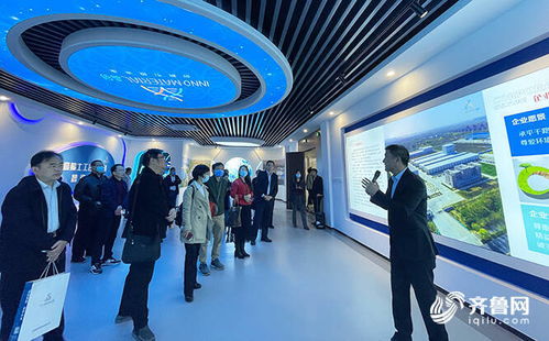 全國專家共聚德州，共話高端非織造布創新應用與紡織品研發新篇章